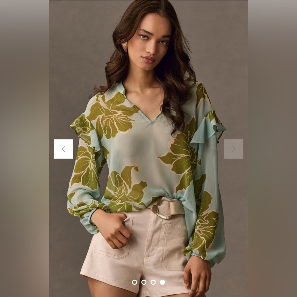 Hutch women’s  Long-Sleeve V-Neck Sheer Blouse in green motif size XS